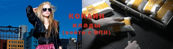 гашик Вязьма