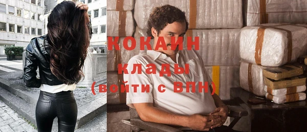 гашик Вязьма